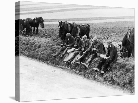 Ploughman's Lunch-null-Stretched Canvas