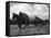 Ploughman's Lunch-null-Framed Stretched Canvas