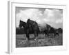 Ploughman's Lunch-null-Framed Photographic Print