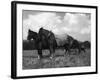 Ploughman's Lunch-null-Framed Photographic Print