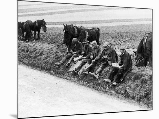 Ploughman's Lunch-null-Mounted Photographic Print