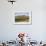 Plover Hill and Pen Y Ghent from Long Scar Above Crummack, Crummack Dale, Yorkshire Dales-Mark Sunderland-Framed Photographic Print displayed on a wall