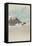 Plovers over Waves-null-Framed Stretched Canvas