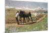 Plowing in the Engadin-Giovanni Segantini-Mounted Premium Giclee Print