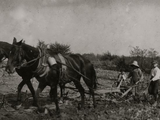 Photo, , large