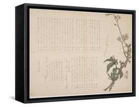 Plum and Camellia Branches, 1829-Nagayama K?choku-Framed Stretched Canvas