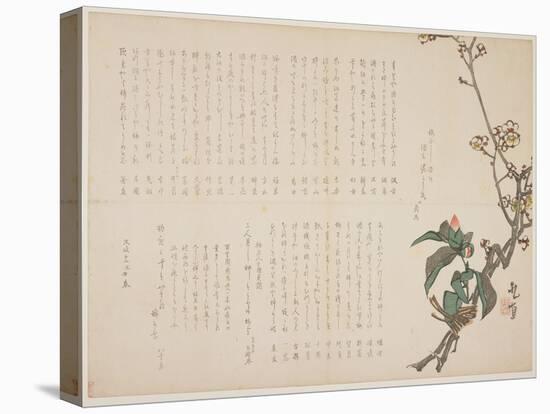 Plum and Camellia Branches, 1829-Nagayama K?choku-Stretched Canvas