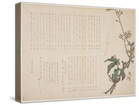 Plum and Camellia Branches, 1829-Nagayama K?choku-Stretched Canvas