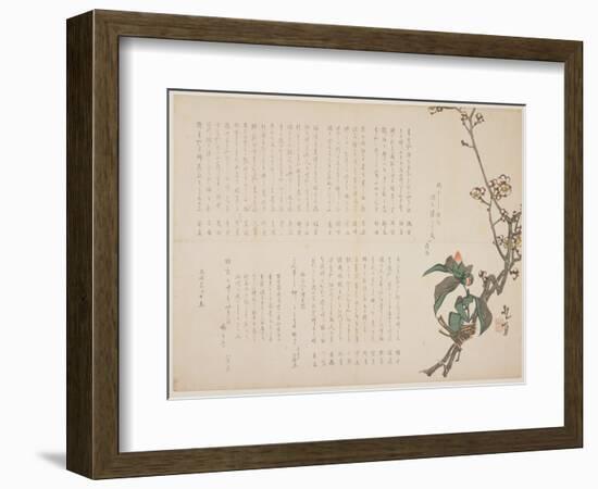 Plum and Camellia Branches, 1829-Nagayama K?choku-Framed Giclee Print