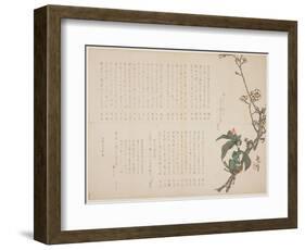 Plum and Camellia Branches, 1829-Nagayama K?choku-Framed Giclee Print