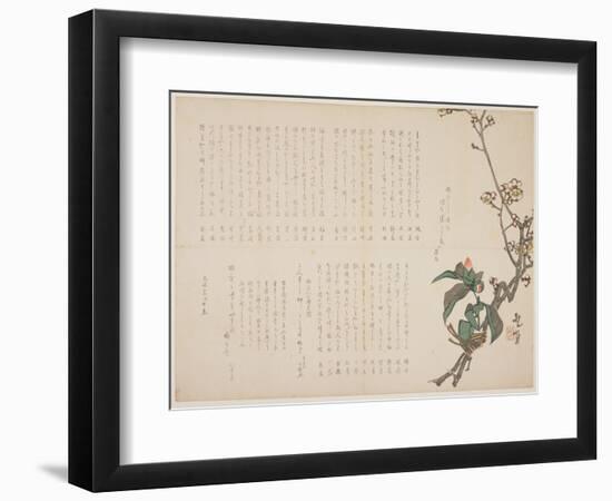 Plum and Camellia Branches, 1829-Nagayama K?choku-Framed Giclee Print