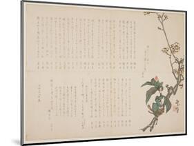Plum and Camellia Branches, 1829-Nagayama K?choku-Mounted Giclee Print