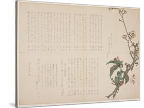 Plum and Camellia Branches, 1829-Nagayama K?choku-Stretched Canvas