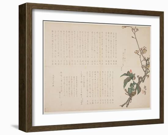 Plum and Camellia Branches, 1829-Nagayama K?choku-Framed Giclee Print