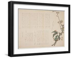 Plum and Camellia Branches, 1829-Nagayama K?choku-Framed Giclee Print