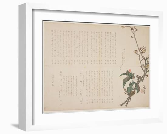 Plum and Camellia Branches, 1829-Nagayama K?choku-Framed Giclee Print