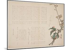 Plum and Camellia Branches, 1829-Nagayama K?choku-Mounted Giclee Print