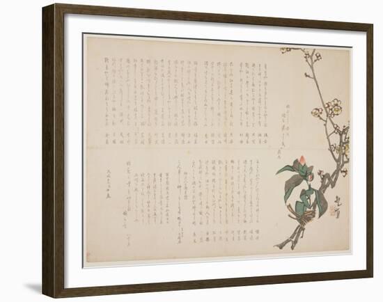 Plum and Camellia Branches, 1829-Nagayama K?choku-Framed Giclee Print