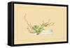 Plum and Chloranthus Brachystchys-Sofu Teshigahara-Framed Stretched Canvas