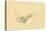 Plum and Chloranthus Brachystchys-Sofu Teshigahara-Stretched Canvas