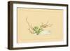 Plum and Chloranthus Brachystchys-Sofu Teshigahara-Framed Art Print