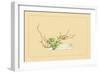 Plum and Chloranthus Brachystchys-Sofu Teshigahara-Framed Art Print