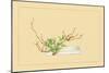 Plum and Chloranthus Brachystchys-Sofu Teshigahara-Mounted Art Print