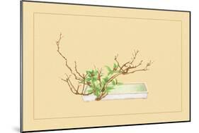 Plum and Chloranthus Brachystchys-Sofu Teshigahara-Mounted Art Print