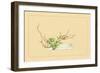 Plum and Chloranthus Brachystchys-Sofu Teshigahara-Framed Premium Giclee Print