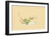 Plum and Chloranthus Brachystchys-Sofu Teshigahara-Framed Premium Giclee Print