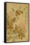 Plum Blossom and Camelias-Yun Shouping-Framed Stretched Canvas