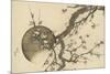 Plum Blossom and the Moon from the Book Mount Fuji in Spring (Haru No Fuji), C.1803-Katsushika Hokusai-Mounted Giclee Print