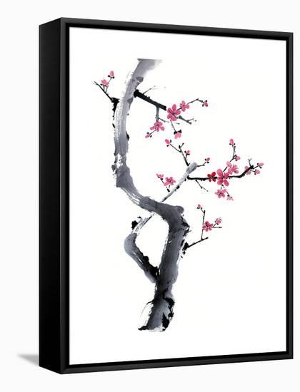 Plum Blossom Branch I-Nan Rae-Framed Stretched Canvas