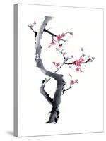 Plum Blossom Branch I-Nan Rae-Stretched Canvas