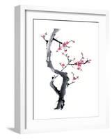 Plum Blossom Branch I-Nan Rae-Framed Art Print