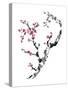 Plum Blossom Branch II-Nan Rae-Stretched Canvas
