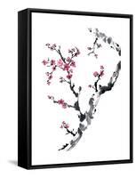 Plum Blossom Branch II-Nan Rae-Framed Stretched Canvas