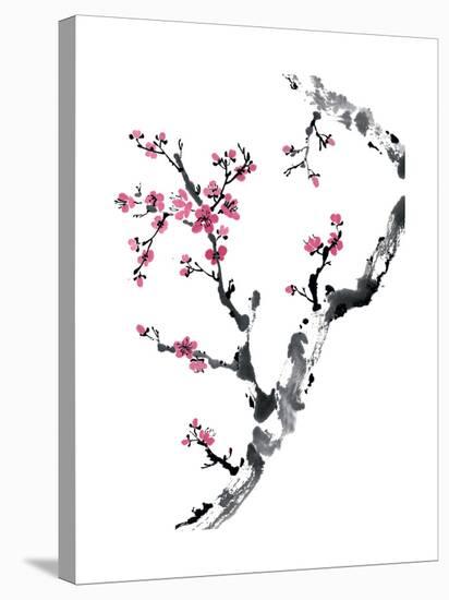 Plum Blossom Branch II-Nan Rae-Stretched Canvas