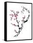 Plum Blossom Branch II-Nan Rae-Framed Stretched Canvas