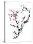 Plum Blossom Branch II-Nan Rae-Stretched Canvas