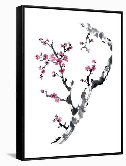 Plum Blossom Branch II-Nan Rae-Framed Stretched Canvas