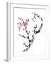 Plum Blossom Branch II-Nan Rae-Framed Art Print