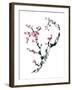 Plum Blossom Branch II-Nan Rae-Framed Art Print