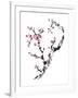 Plum Blossom Branch II-Nan Rae-Framed Art Print