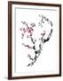 Plum Blossom Branch II-Nan Rae-Framed Art Print