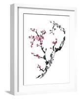 Plum Blossom Branch II-Nan Rae-Framed Art Print