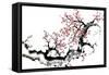 Plum Blossom Branch III-Nan Rae-Framed Stretched Canvas