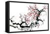 Plum Blossom Branch III-Nan Rae-Framed Stretched Canvas