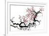 Plum Blossom Branch III-Nan Rae-Framed Art Print