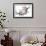 Plum Blossom Branch III-Nan Rae-Framed Premium Giclee Print displayed on a wall